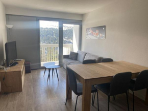 Appart 6 personnes, balcon plein sud